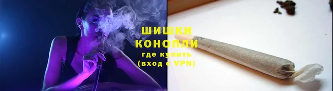 мдпв Володарск